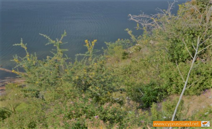 kalavasos dam larnaca