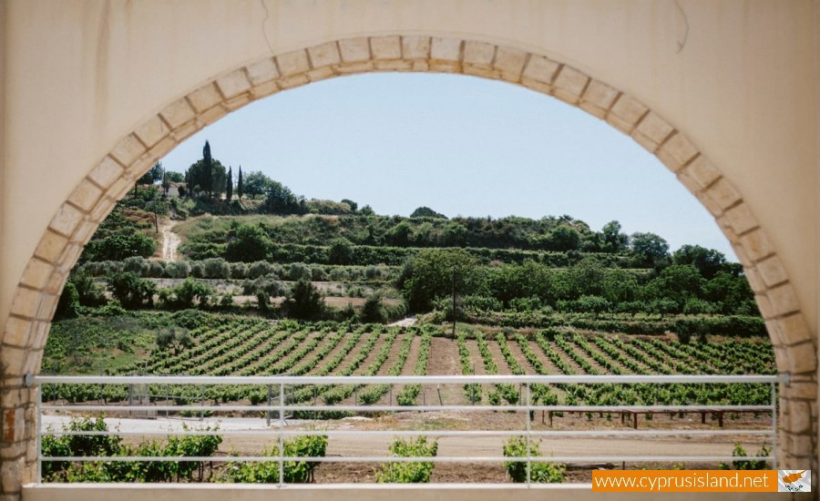 kamanterena paphos winery