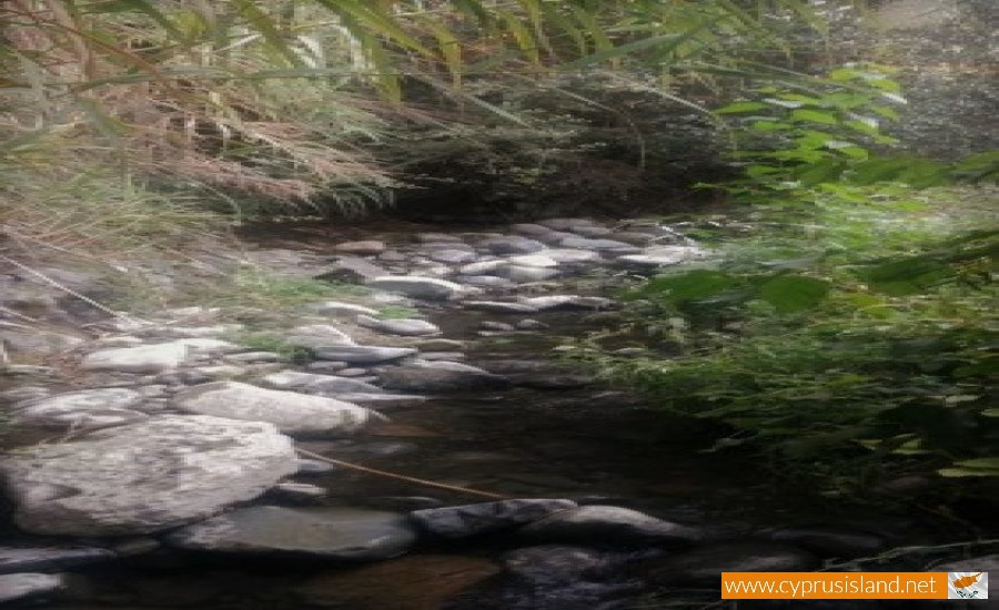 klarios river cyprus