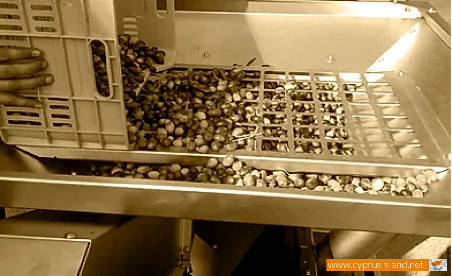 Kolossi Olive Mill, Limassol, Cyprus