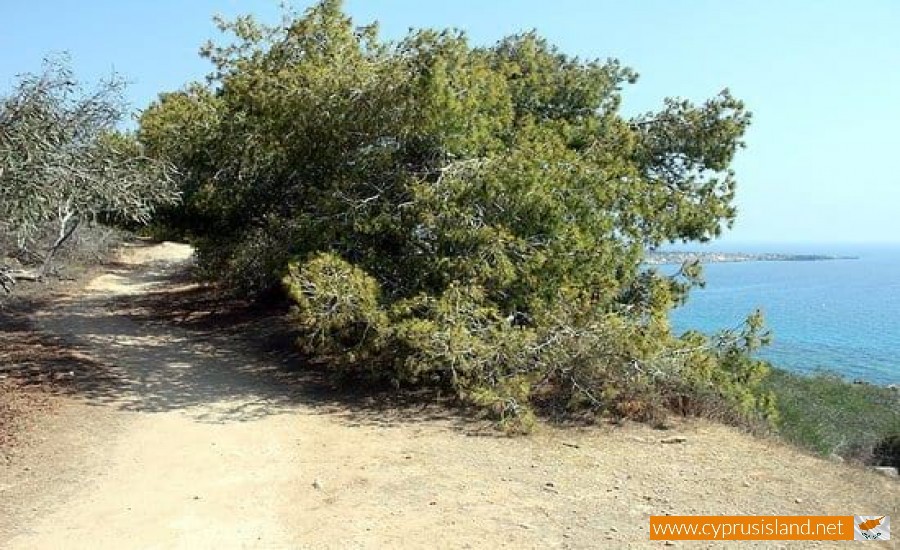 konnos nature trail