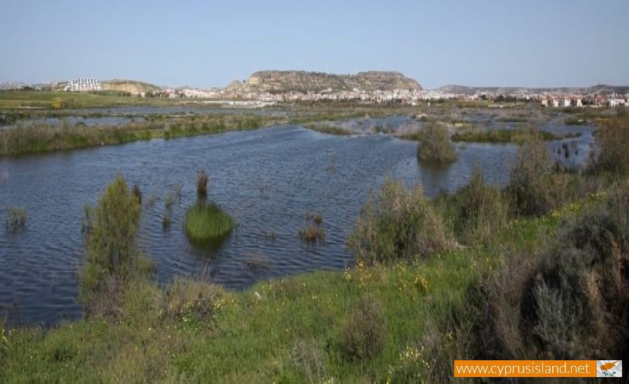 larnaca lake cyprus