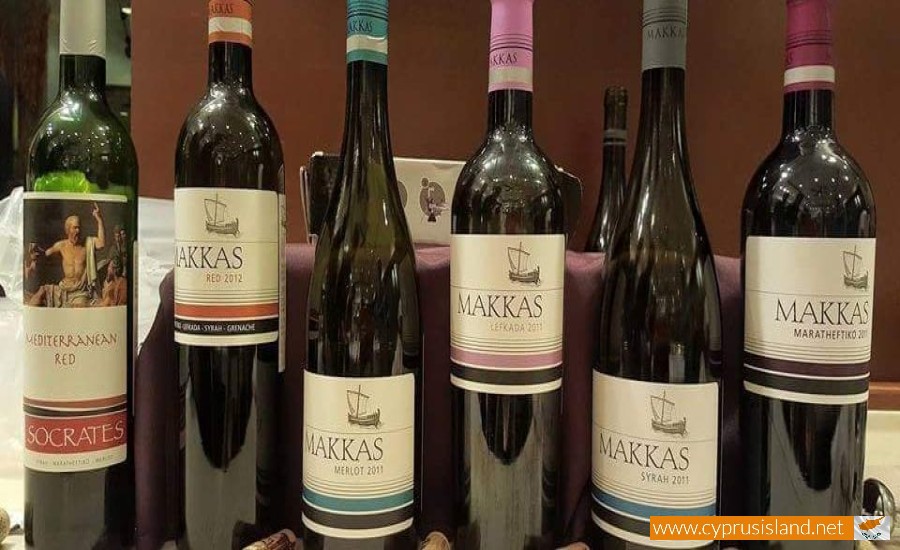Makkas Winery, Paphos, Cyprus