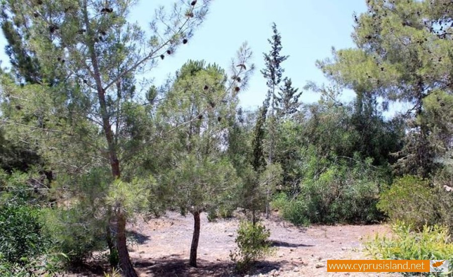 Park of Nations - Agios Georgios Nature Trail, Nicosia, Cyprus
