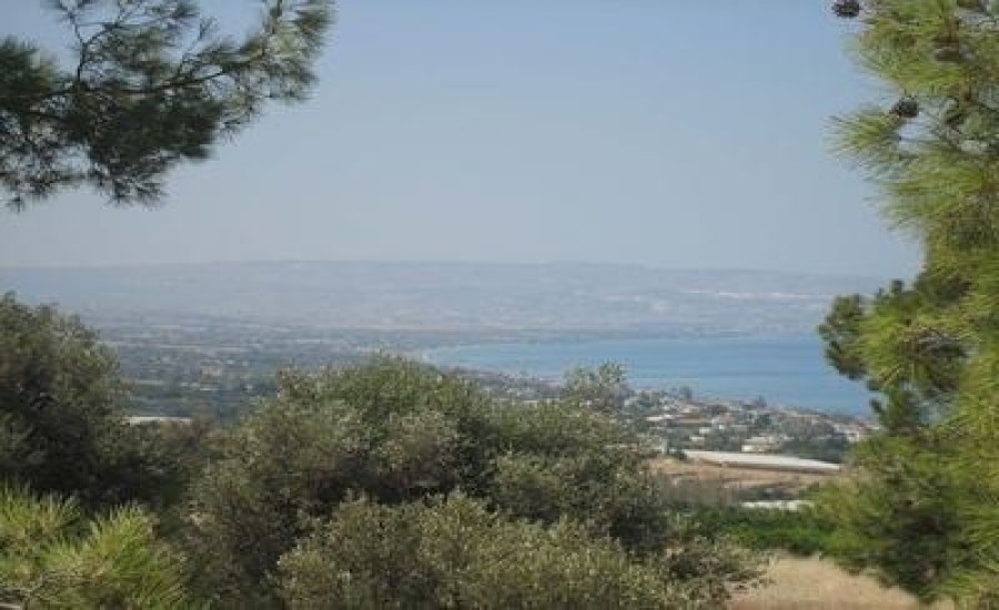 nea dimmata