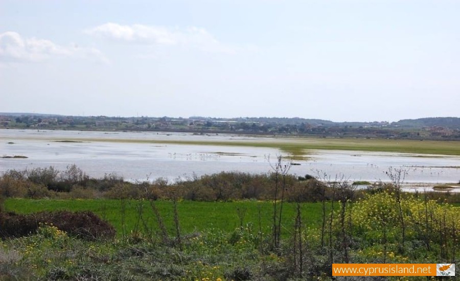 Paralimni Lake, Famagusta, Cyprus
