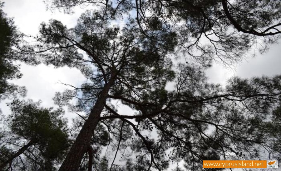 agia paraskevi picnic site