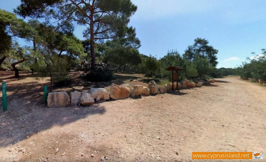 Pykni Picnic Site | Cyprus Island