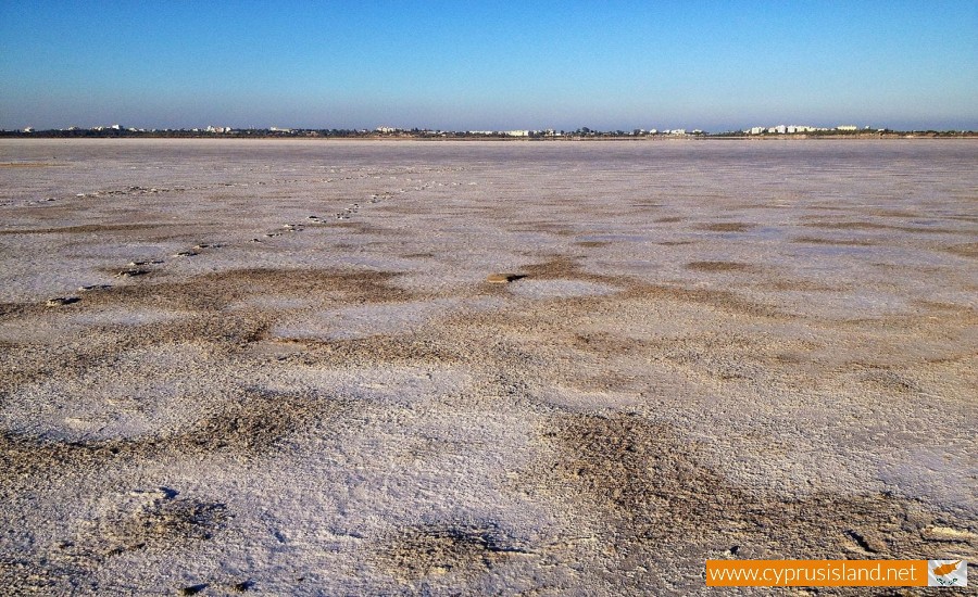 salt lake larnaca