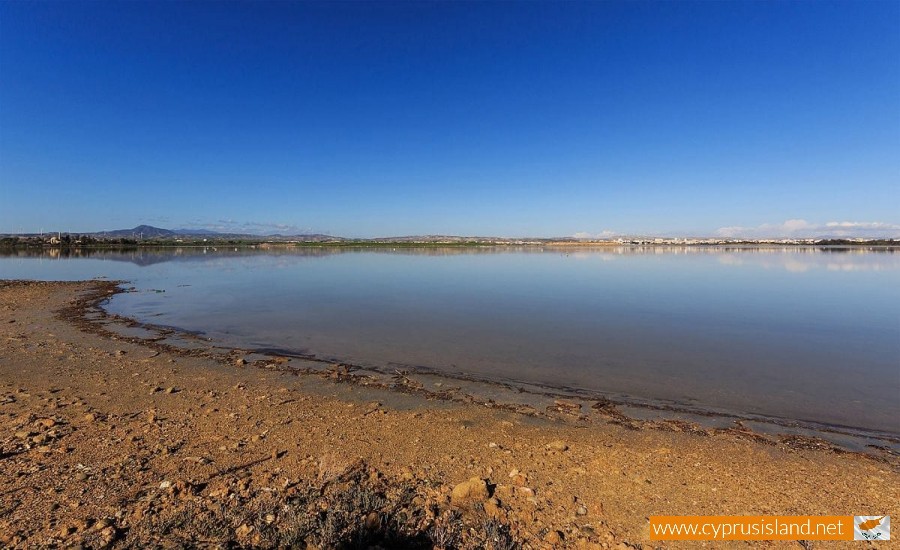 Salt lake of Larnaca