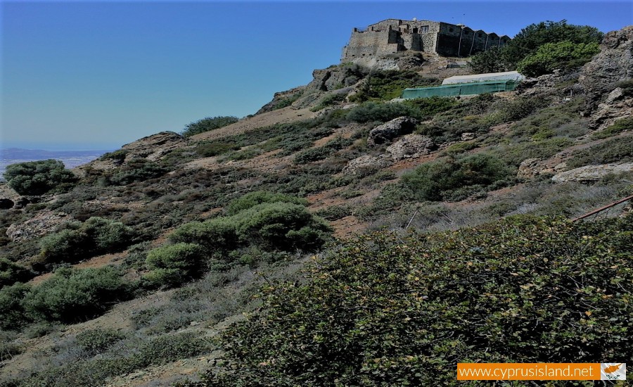 Stavrovouni Forest, Larnaca, Cyprus