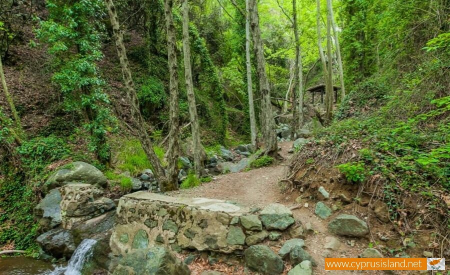 Troodos Forest, Limassol, Cyprus