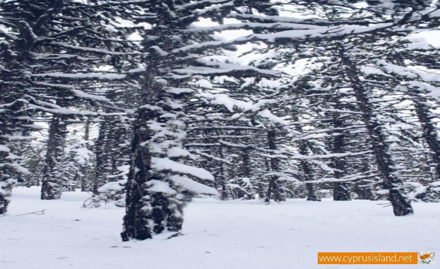 troodos mountain range cyprus