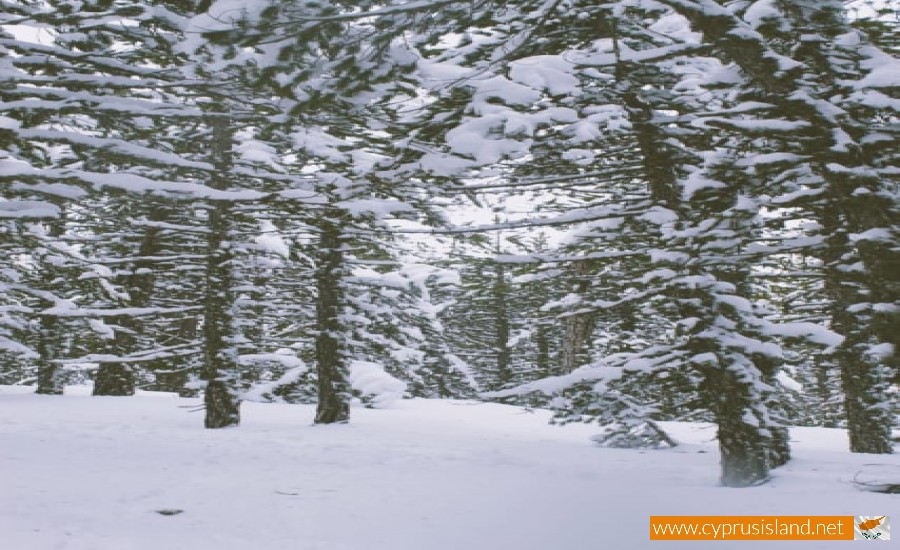 troodos mountain range