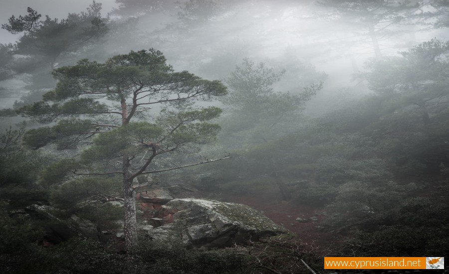 troodos mountains