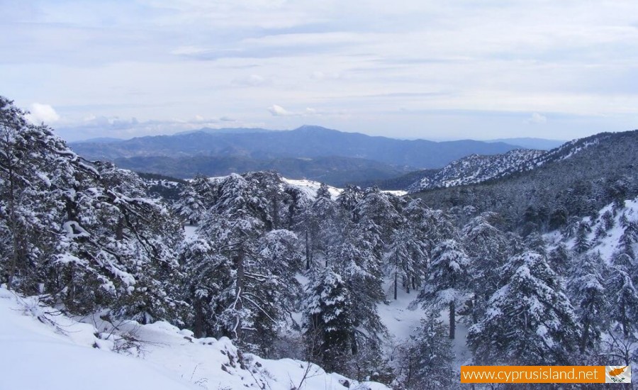 Troodos mountain