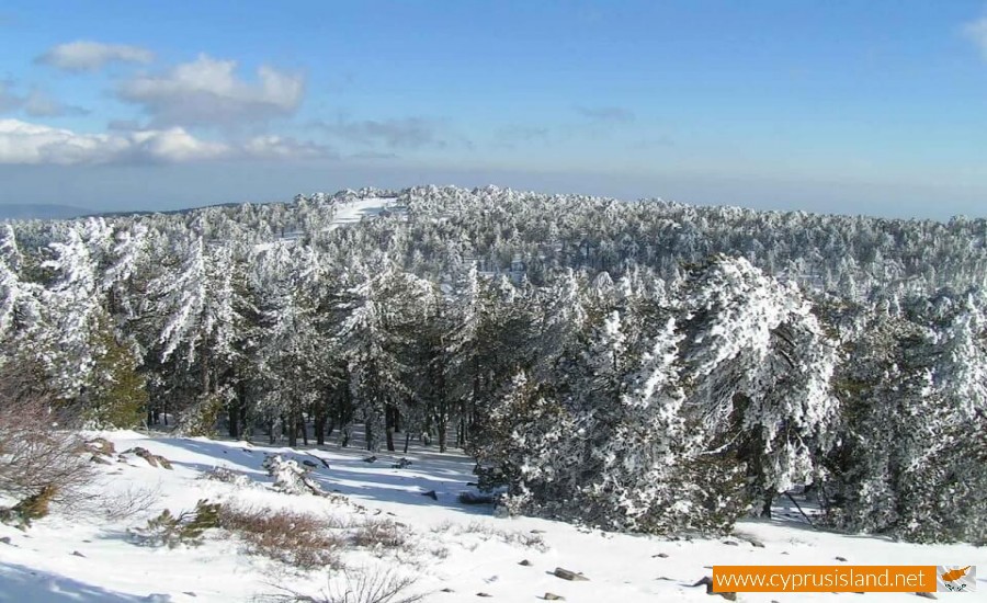 Snow in Troodos