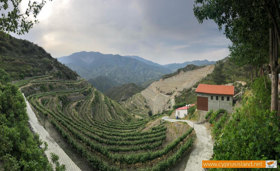 tsiakkas winery limassol