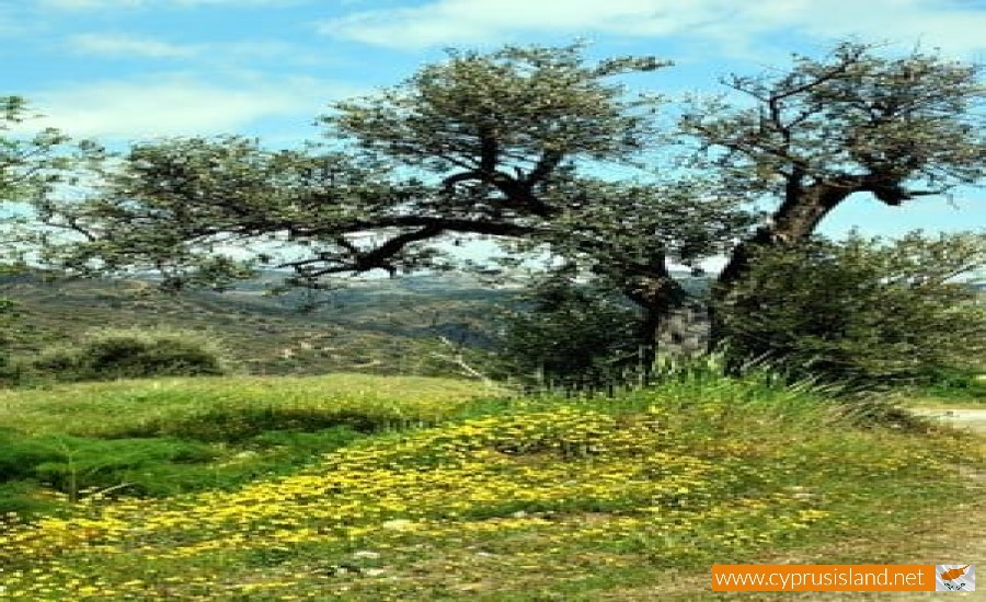 vavla nature trail