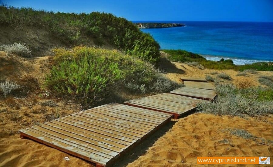 Lara Beach, Akamas