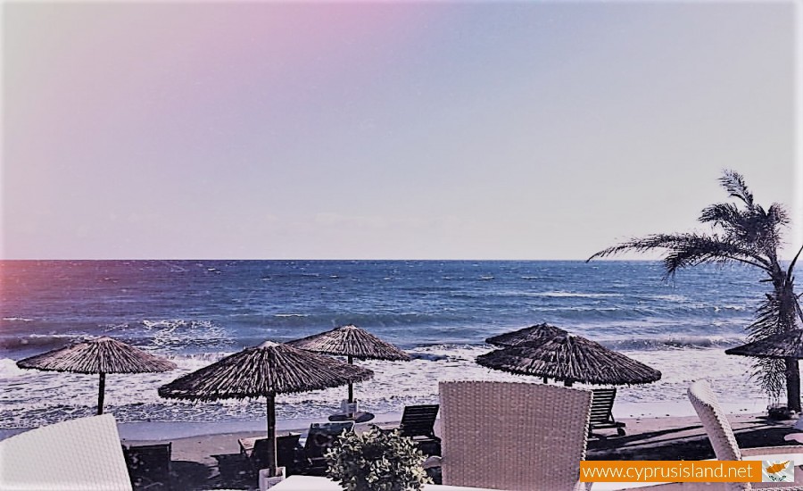 blueberry beach limassol