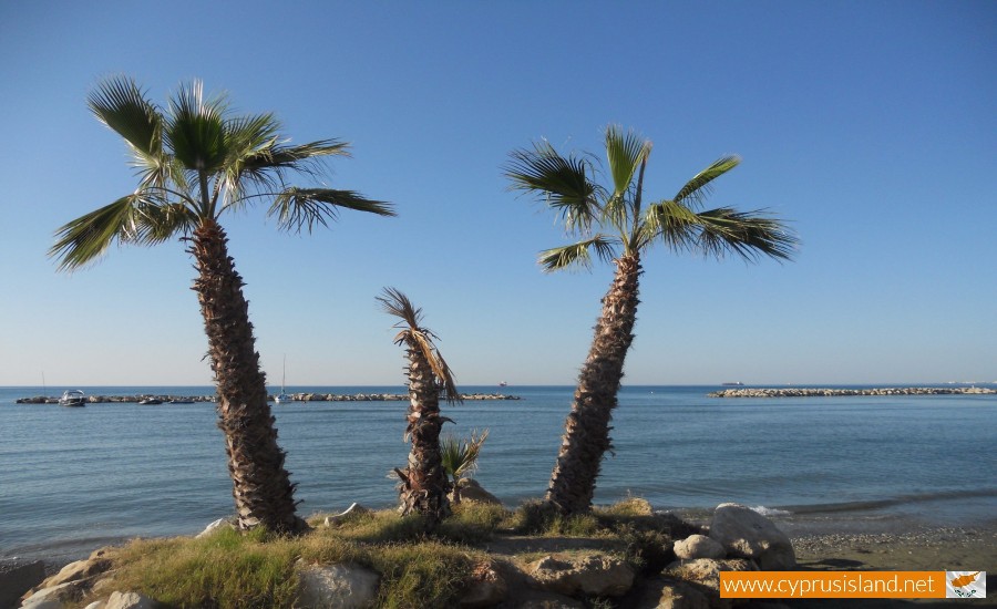 Yiannades Beach, Larnaca, Cyprus