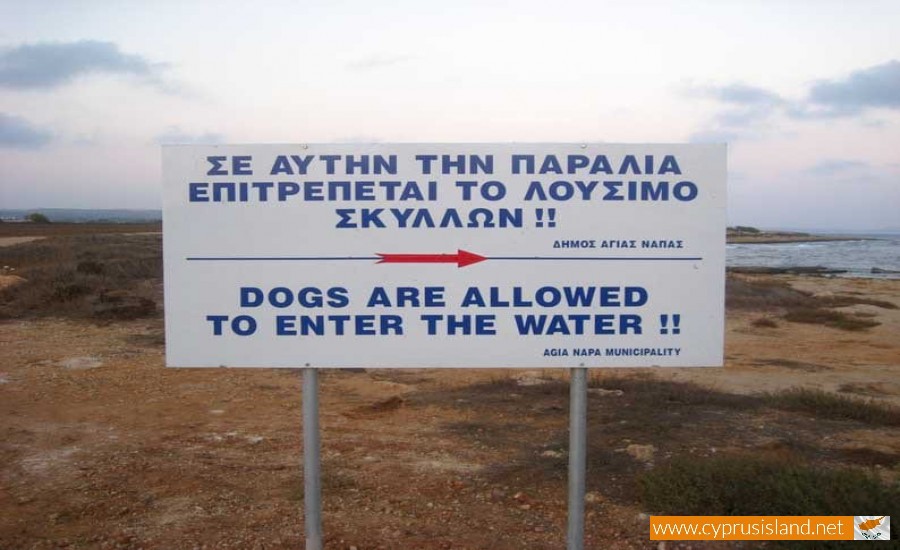 dog beach ayia napa