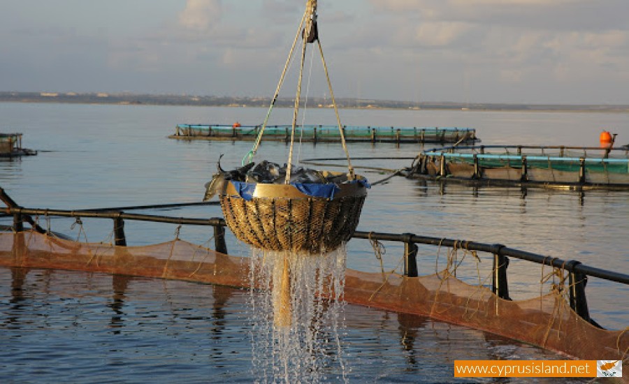 Cyprus Fishing Shelters