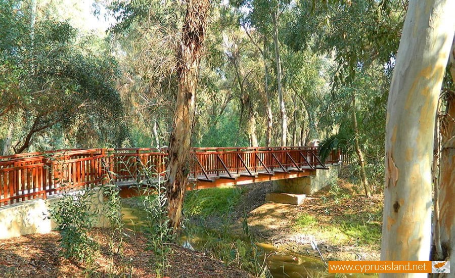 Aglantzia Village, Nicosia, Cyprus