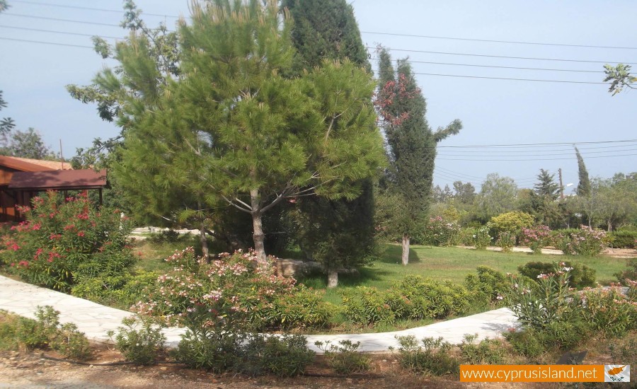 Pano Polemidia, Limassol, Cyprus