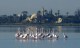 Larnaca Salt Lake