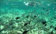 Pernera Beach - Polyxenia, Protaras