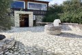 Golden Donkeys Farm - Skarinou, Larnaca, Cyprus