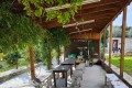 Golden Donkeys Farm - Skarinou, Larnaca, Cyprus