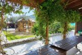 Golden Donkeys Farm - Skarinou, Larnaca, Cyprus