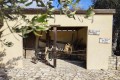 Golden Donkeys Farm - Skarinou, Larnaca, Cyprus
