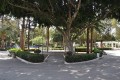 Limassol Municipal Garden, Cyprus