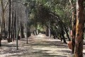 Agios Georgios Nature Trail, Nicosia, Cyprus