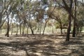Botanical Garden - Picnic Area of South West Entrance Nature Trail, Nicosia, Cyprus