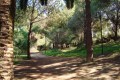 Pedagogical Academy Natural Forest Park, Nicosia, Cyprus