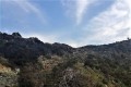 Akamas National Forest, Paphos, Cyprus