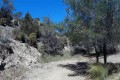 Akamas National Forest, Paphos, Cyprus