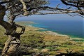 Akamas National Forest, Paphos, Cyprus