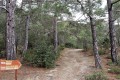 Akamas National Forest, Paphos, Cyprus