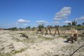Anarita Picnic Area, Paphos, Cyprus