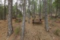 Armyroleivadon Picnic Site, Limassol, Cyprus