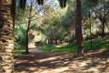 Athalassa National Forest Park, Nicosia, Cyprus