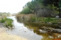 Athalassa Lake, Nicosia, Cyprus