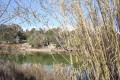 Athalassa Lake, Nicosia, Cyprus
