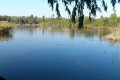 Athalassa Lake, Nicosia, Cyprus